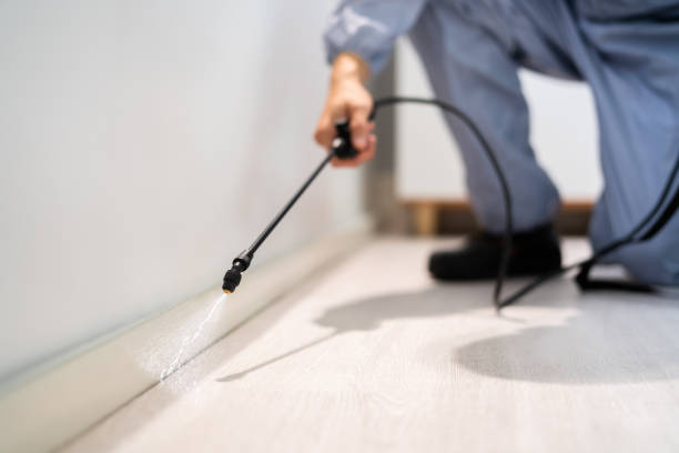 Bed Bug Pre-Treatment Preparation Assessment in Slippery Rock University