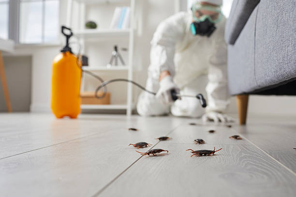 Post-Treatment Bed Bug Interceptor Monitoring in Slippery Rock University